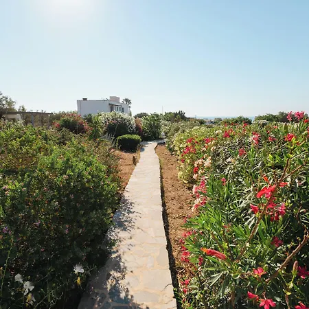 Soros Antiparos 3* Agios Georgios (Antiparos)