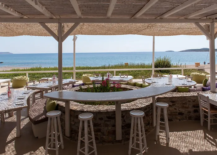 Lägenhetshotell Soros Antiparos 3*