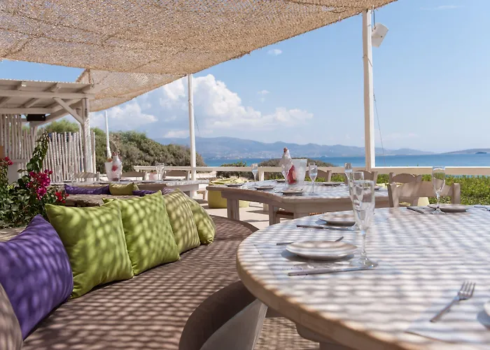 Soros Antiparos Lägenhetshotell 3*